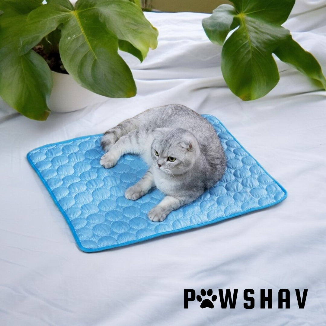 PawsHav - Pet Cooling Mat