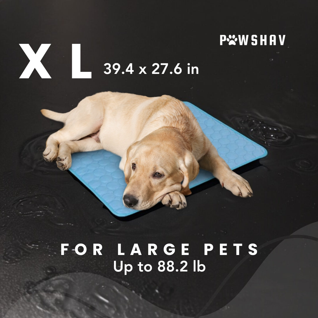 PawsHav - Pet Cooling Mat