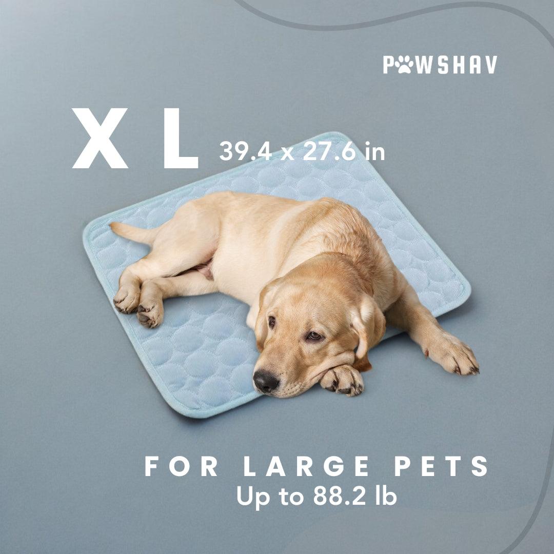 PawsHav - Pet Cooling Mat