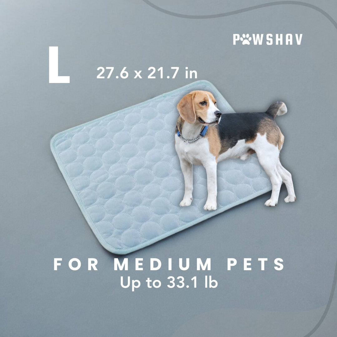 PawsHav - Pet Cooling Mat