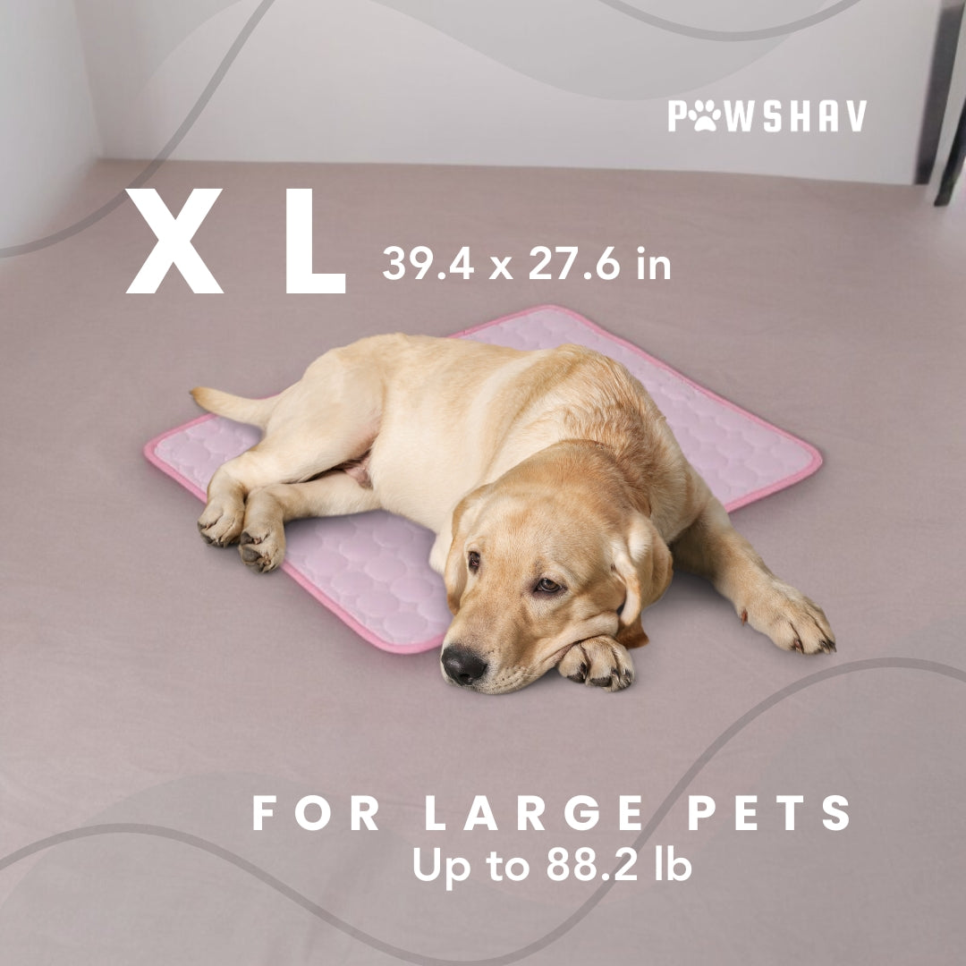 PawsHav - Pet Cooling Mat