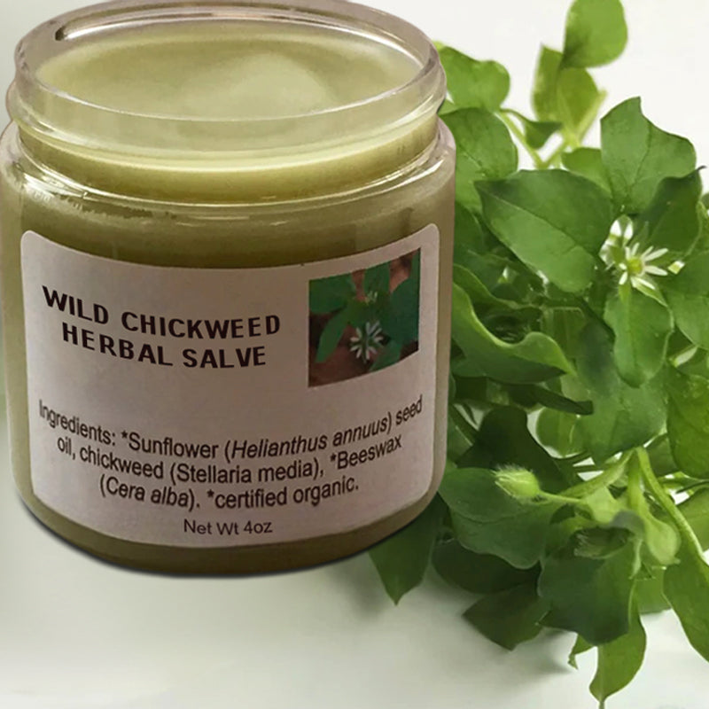 WILD CHICKWEED HERBAL SALVE